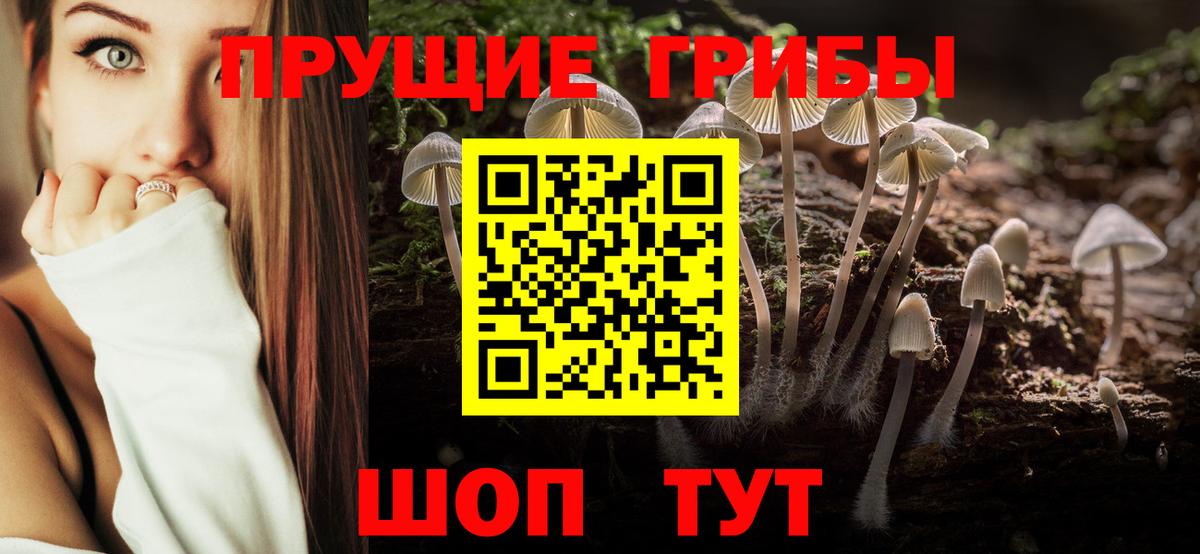 Вятские Поляны  Псилоцибиновые грибы прущие грибы  Вход с VPN 