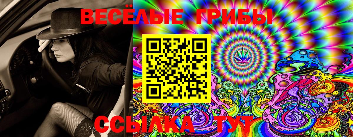 Псилоцибиновые грибы Psilocybe Вятские Поляны